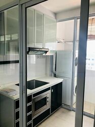 Palm Oasis (D15), Apartment #439957301